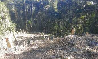 Imagem 3: Terreno à venda, 598 m² - Vila Verde - Itapevi/SP