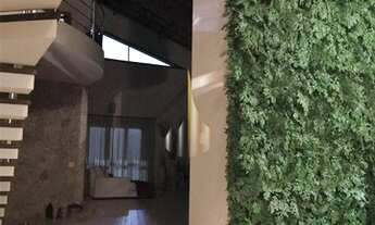 Imagem 6: Casa - Dois Córregos - Valinhos