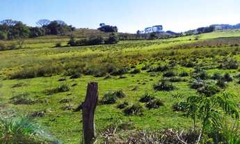 Imagem 3: Chácara com 1 dormitório à venda, 45000 m² por R$ 450.000,00 - Fazenda Leão - Sapiranga/RS