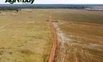 Imagem 3: Fazenda Com 860 Alqueires