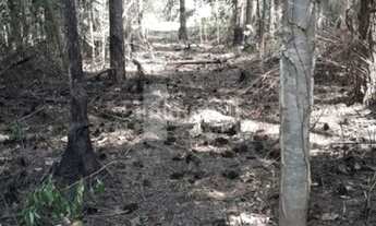 Imagem: TERRENO - OPORTUNIDADE