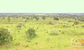 Imagem 6: Fazenda para Venda em Mara Rosa, 000