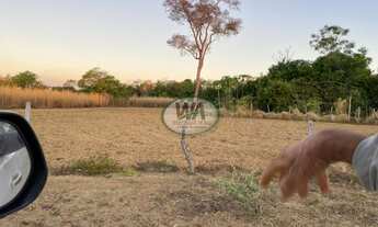 Imagem: Chácara ótima para criação pertinho