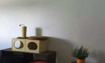 Imagem 3: SAO JOSE DOS CAMPOS - Residential / Apartment - VILA ROSSI