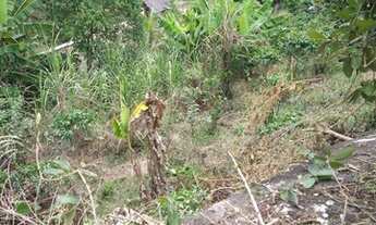 Imagem 3: Sitio em Santa Teresa com 14.000m quadadros