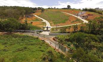 Imagem 6: Ref.: 9020 - Lote ou Terreno - Salvaterra