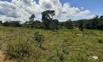 Imagem 6: Lote/Terreno para venda possui 13.500 metros quadrados