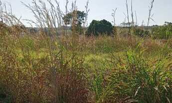 Imagem 5: Vendo Lote 378m²