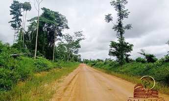 Imagem: CHÁCARA A VENDA COM 9.1142 NOVE HECTARES