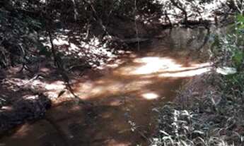 Imagem 3: Chácara 2.500m² em Betim, nascente, córrego e lagoa. OPORTUNIDADE!