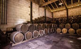 Imagem 2: Alambique de Cachaça artesanal