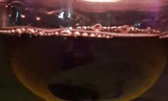 Imagem 6: Charmoso Chalé para alugar mensal