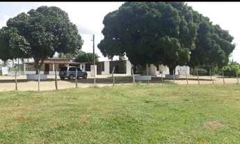 Imagem 5: Ótima Fazenda com 20 hectares na região de Macaíba de porteira fechada