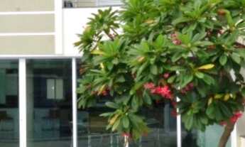 Imagem 2: Casa - Sobrado - Damha IV