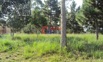 Imagem 4: Gravataí - Sítio - Neópolis