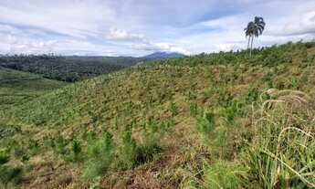 Imagem 7: CHÁCARA com 1 dormitório à venda com 339694m² por R$ 980.000,00 no bairro MACACOS - BOCAIU