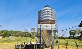 Imagem 7: Fazenda de Oportunidade ! São 25 Alqueires ! Região de Heitoraí !