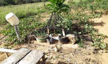 Imagem 5: Chácara no rio negro ms