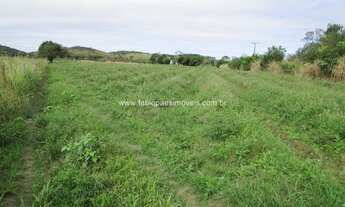 Imagem 5: Imobiliária Fabio Paes - Sítio a venda com 60.000m², terra rica para plantação