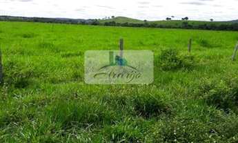 Imagem 3: Pedro Afonso - Fazenda - Rural