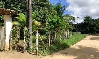 Imagem 7: Ótimo e tranquilo Sítio em Barra de Pojuca a 2 km da BA-099 30.000m2