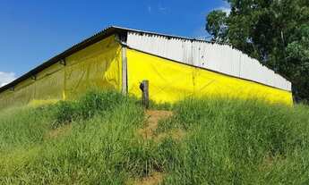 Imagem: Granja em terreno de 55.000 m2, com 02 casas