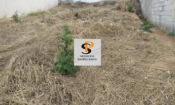 Imagem 5: Terreno - Bosque - Vinhedo