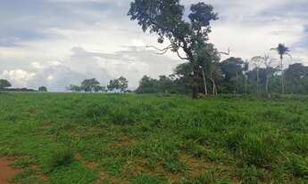 Imagem 3: Fazenda para Venda em Marianópolis do Tocantins, Marianopolis