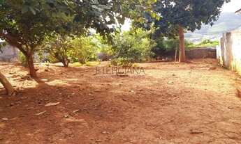 Imagem 5: BORDA DA MATA - Terreno Padrão - Sao Judas Tadeu