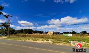 Imagem 3: Terreno no BUTIATUVINHA de 7540,00 m2 - 00045.200-RAZAO