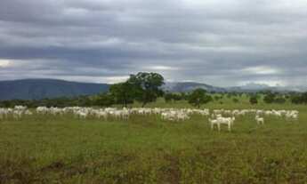 Imagem: VENDO FAZENDA COM 83 HECTARES
