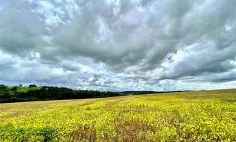 Imagem 6: Excelente Fazenda - Anápolis (GO