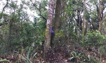 Imagem 2: Lote para comprar Parque Petrópolis Mairiporã