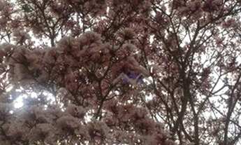 Imagem 5: Chácara de 4.628 m² em Pilar do Sul/Oportunidade