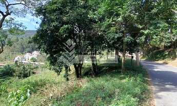 Imagem 5: Terreno rua valorizada no bairro Conego