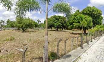 Imagem 2: Terreno, Tamantaduba, 4.800m2, Próx. Shopping Eusébio