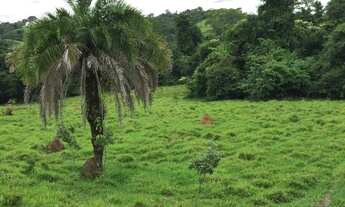 Imagem 4: Fazenda Excelente - Goianésia(GO