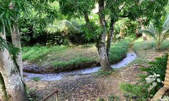 Imagem: Ótimo e tranquilo Sítio em Barra de Pojuca