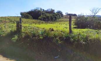 Imagem 4: Chácara com 1 dormitório à venda, 45000 m² por R$ 450.000,00 - Fazenda Leão - Sapiranga/RS