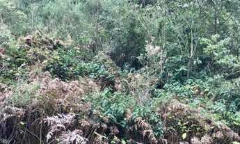 Imagem 3: Terreno para Venda em Nova Petrópolis, Linha Imperial