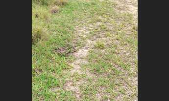 Imagem: Casa de condomínio para venda possui 600