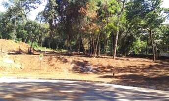 Imagem 6: MATOZINHOS - Terreno Padrão - Floresta
