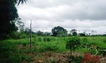 Imagem 5: CHÁCARA A VENDA COM 9.1142 NOVE HECTARES NA CIDADE DE RIO CRESPO RONDONIA