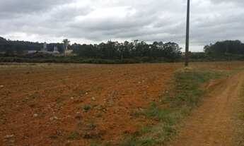 Imagem 3: Área à venda, 300000 m² por R$ 10.000.000,00 - Bortolan Sul - Poços de Caldas/MG