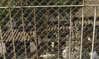 Imagem 3: APARTAMENTO PRÓXIMO AO METRÔ GUILHERMINA ESPERANÇA-60 MTS-3 DORMS, COZINHA PLANEJADA, SACA