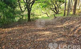 Imagem 2: Sítio - Condomínio Jardim das Palmeiras - Bragança Paulista