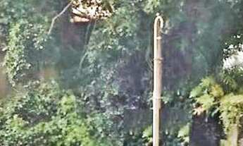 Imagem 2: Terreno à venda, 162 m² por R$ 1.065.000,00 - Vila da Saúde - São Paulo/SP