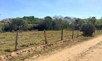 Imagem 4: Fazenda/Sítio/Chácara para venda tem 169400 metros quadrados em ru - Descalvado - SP