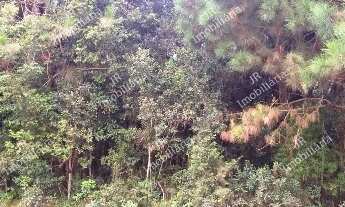 Imagem 5: Excelente Chácara Sem Benfeitorias