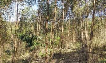 Imagem 2: Terrenos igaratá